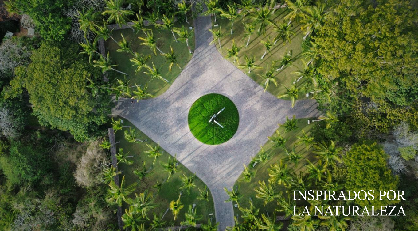 Arte Verde México empresa de paisajismo
